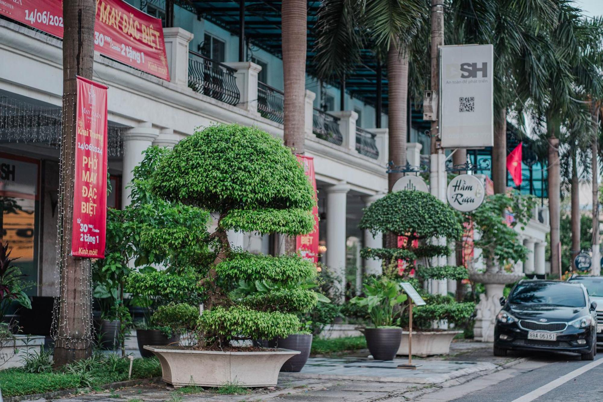 May Plaza Hotel Thái Nguyên Zewnętrze zdjęcie