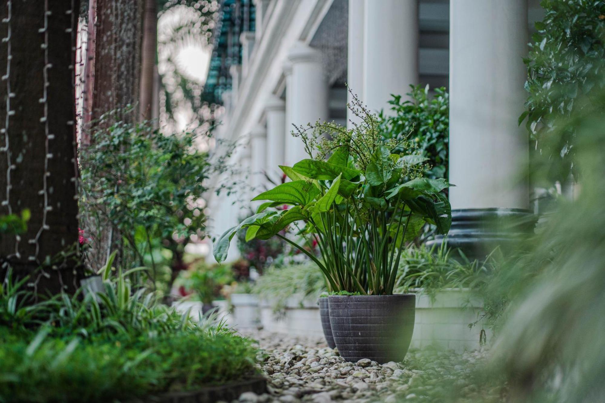 May Plaza Hotel Thái Nguyên Zewnętrze zdjęcie